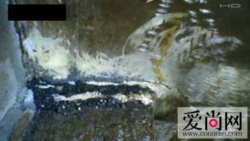 1981年香港狐仙灵异事件 骇人听闻的狐仙从何而来