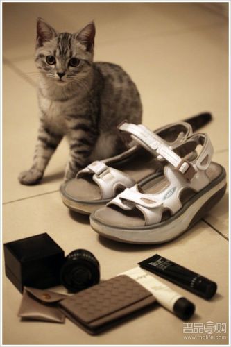 如何办理香港DFS打折卡