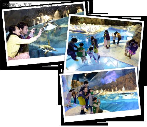 2012香港圣诞节活动一览