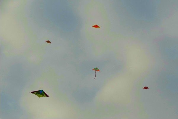 休闲之旅 香港清水湾郊野公园放飞风筝