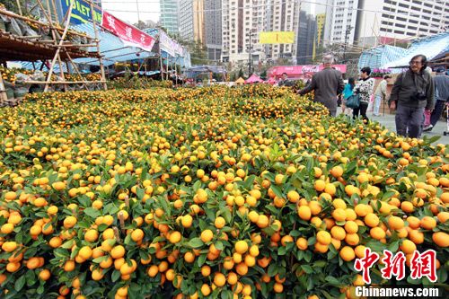 香港维园年宵市场开张迎宾