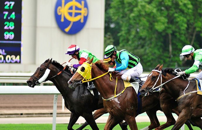 香港自由行：赛马场巧遇心中偶像