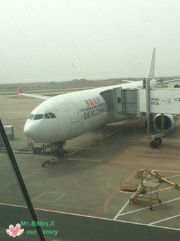 香港自由行：TVB景点+购物miumiu BV 蒂凡尼+纪念张国荣（上）