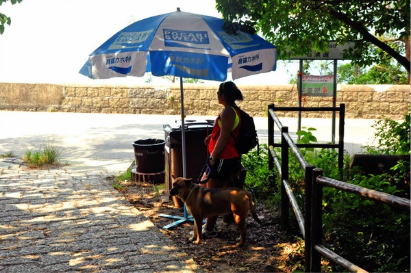 细细品味香港石澳