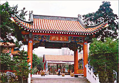 屯门盆景兰花展览2013