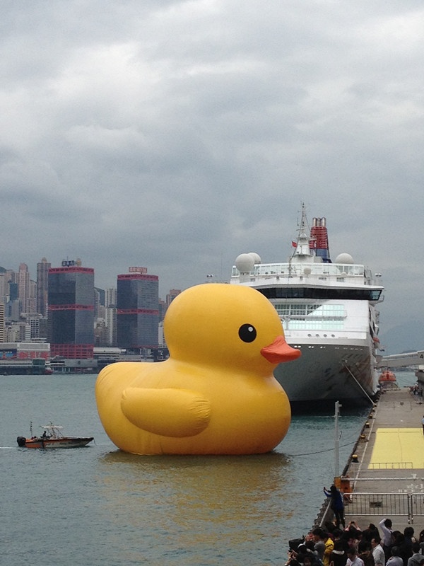 5月2日去香港看大鸭仔