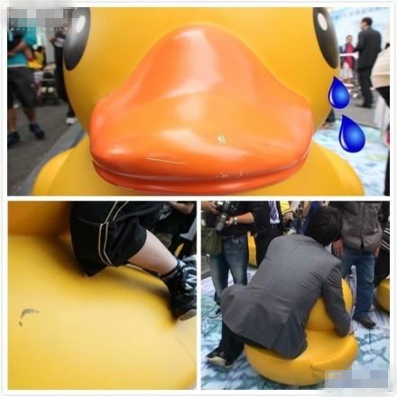 香港看巨鸭！请文明看大黄鸭