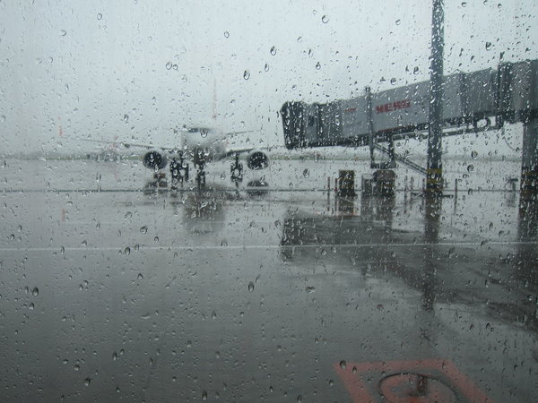 5月二度赴港辛苦暴走+3万化妆品+金子等(一)