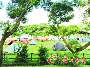 香港露营，走起！