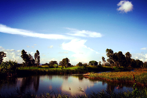 香港旅行：HK新界元朗区南生围--感受原生态的氛围