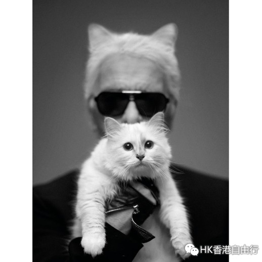 香港购物：Choupette又一精品！melissa + Karl Lagerfeld 塑胶鞋