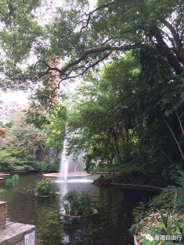 香港自由行攻略：4.8-11婚前采购 对戒、钻戒、omega男表、真力时女表、LV包包等 下