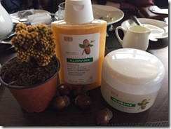 香港购物：KLORANE推出沙漠椰枣深层滋润修护系列