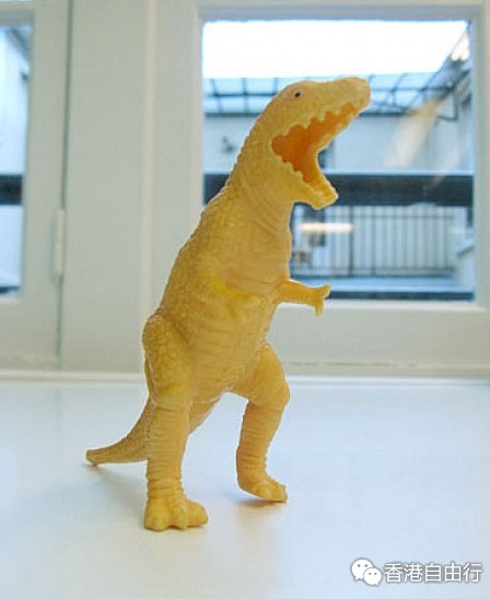 香港购物：恐龙横行！SPORT B.2016春夏系列（附HK报价）