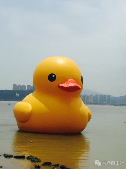 澳门自由行攻略：走，去澳门，邂逅大黄鸭（收获周生生，小ck，NIKE，欧时力，奶粉，护肤品）