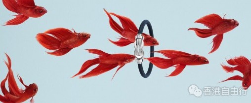 香港时尚：FRED 8°0八十周年纪念版手链