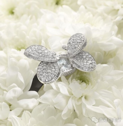 香港时尚：格拉夫(Graff)呈献Princess Butterfly神秘腕表