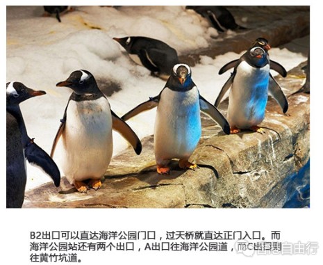 香港旅行：南港岛线通车，各站出口游玩资讯抢先看