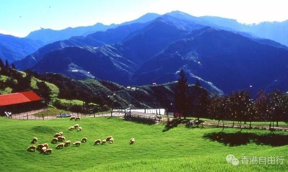 香港旅行：港版复刻-摄影爱好者必去之地（坪洋大草原、菠萝山、大榄涌水塘）