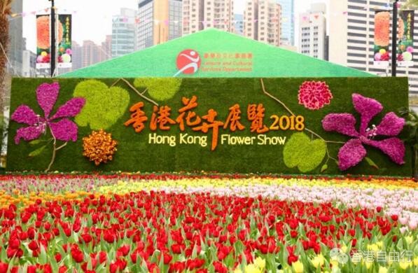 一年一度花界盛事 「香港花卉展览2018」（多图）