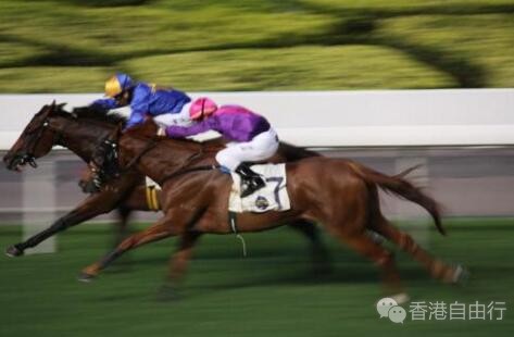 香港赛马季大雨中收官 赛季投注额再破千亿创纪录