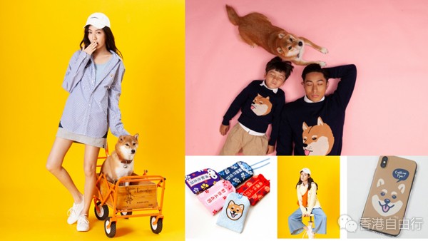 香港购物精选：人气网红柴犬P仔来了！期间限定潮著店登陆一田（附价）