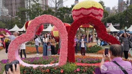 能赏花还能领花 香港花卉展免费发5000盆栽助力环保