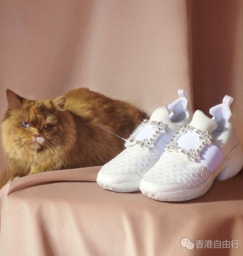 香港购物：Roger Vivier包鞋2019秋冬系列