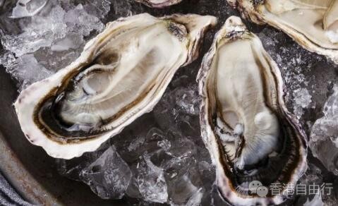 香港美食推介：香港逸东酒店普庆餐厅 生蚝自助餐