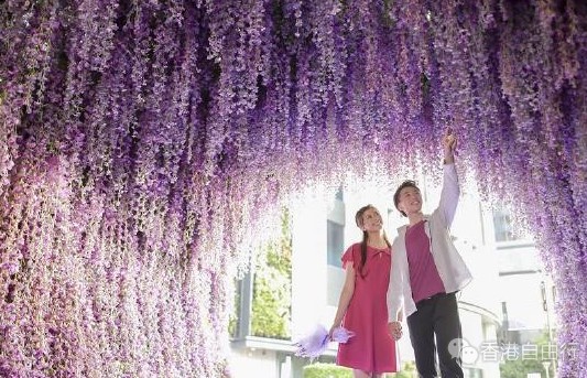 北角汇Harbour North由即日起举行《紫‧在北角汇》花夏祭
