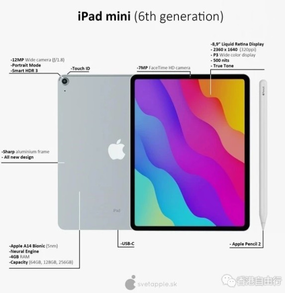 苹果iPad mini 6高清图来了：真全面屏＋指纹验证一个都少