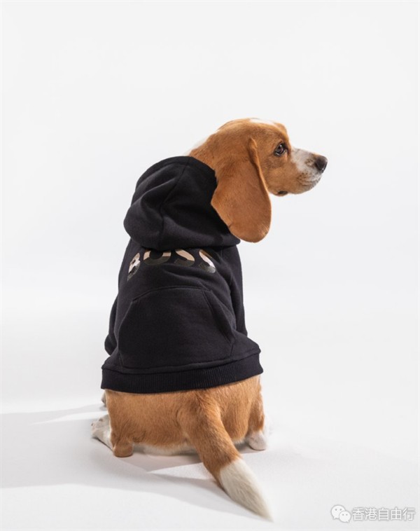 香港购物：BOSS携超人气经典LOGO卫衣以全新姿态强势回归