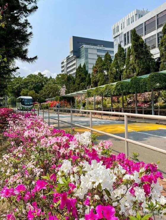 亚洲最美大学校园之一 香港中文大学