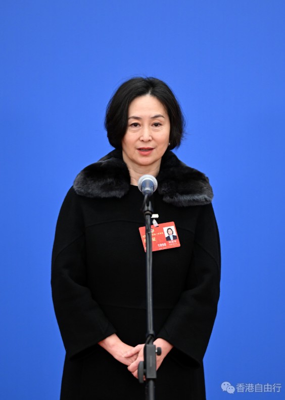 何超琼：大湾区将会成为香港发展的大舞台