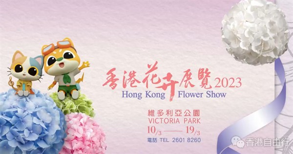 香港花卉展明日维园开锣　浪漫绣球花为春日添彩