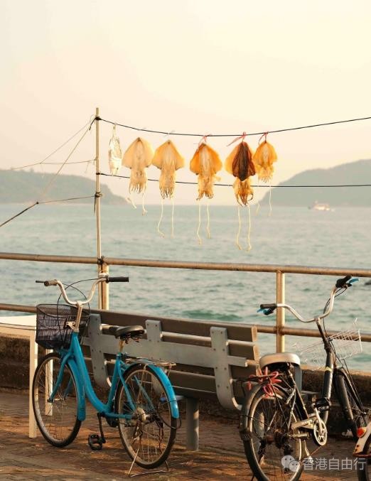 香港旅行：坪洲岛上散散步，感受徐徐海风