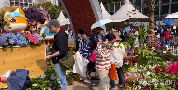 40万株花卉浪漫盛放 市民一家大细齐齐赏花
