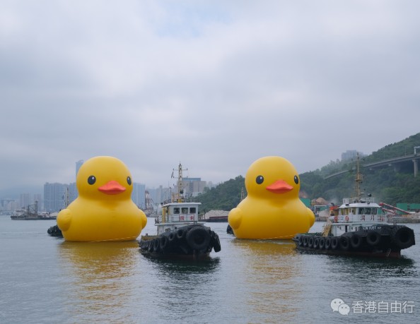 《橡皮鸭二重畅》6月10日游维港　首次现身中西区海滨长廊