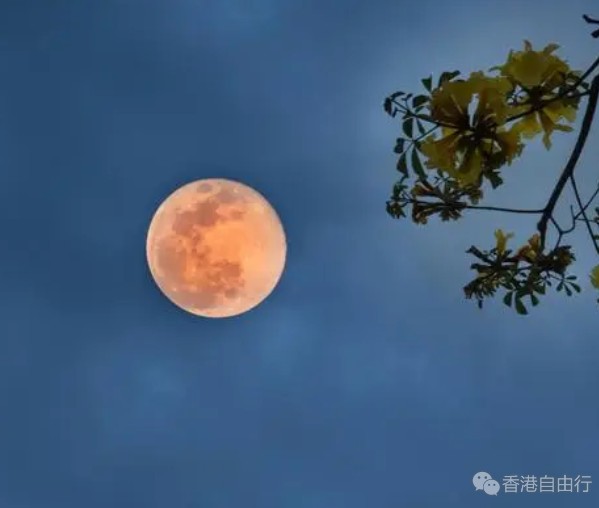 天文迷注意！8月首尾上演两次超级月亮
