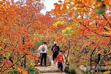 高铁新线带动 北上旅行团爆满