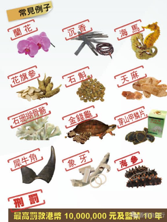 春节假期将至 这些物品不可携带出入境！