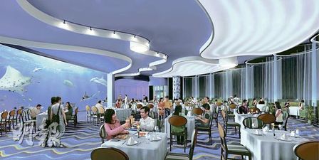 香港海洋公园“梦幻水都”将开幕 游客与鱼共餐