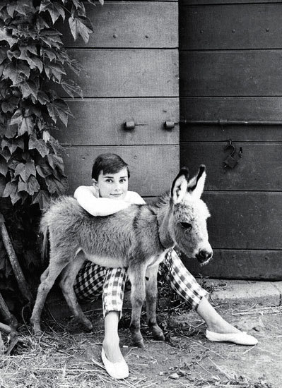 早春穿衣15个元素减龄变少女