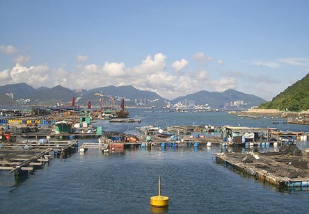 香港自由行攻略 超实用的9个TIPS