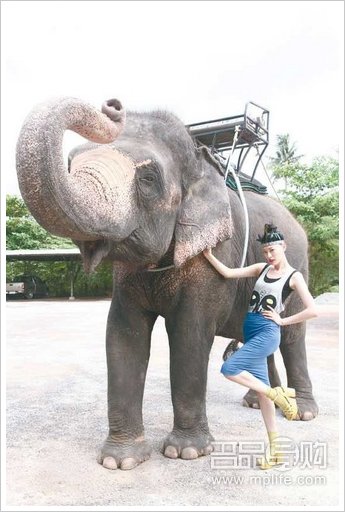 Millie's新款杀到 香港预览