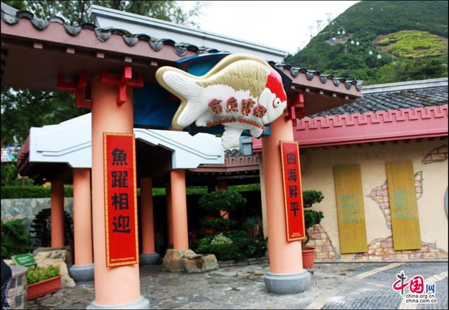 香港海洋公园之旅 奇妙与刺激的完美体验