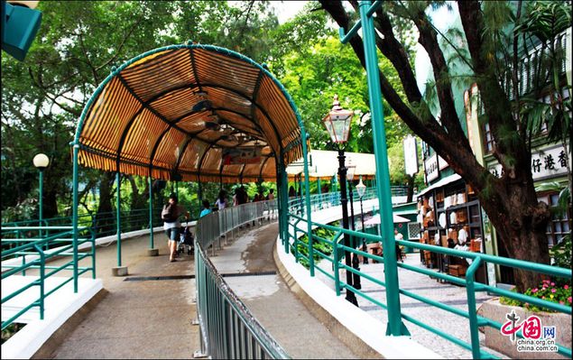 香港海洋公园之旅 奇妙与刺激的完美体验