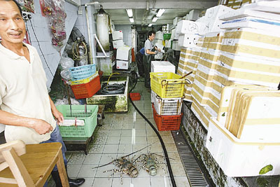 香港匪徒“趁风打劫” 破闸盗窃13只贵重龙虾
