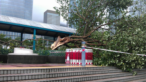13年一次台风过后的香港