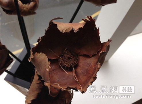 苹果iPhone 5评测：屏幕尺寸增大 原生iOS6 （下）